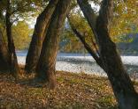 Adige autunnale che meraviglia!